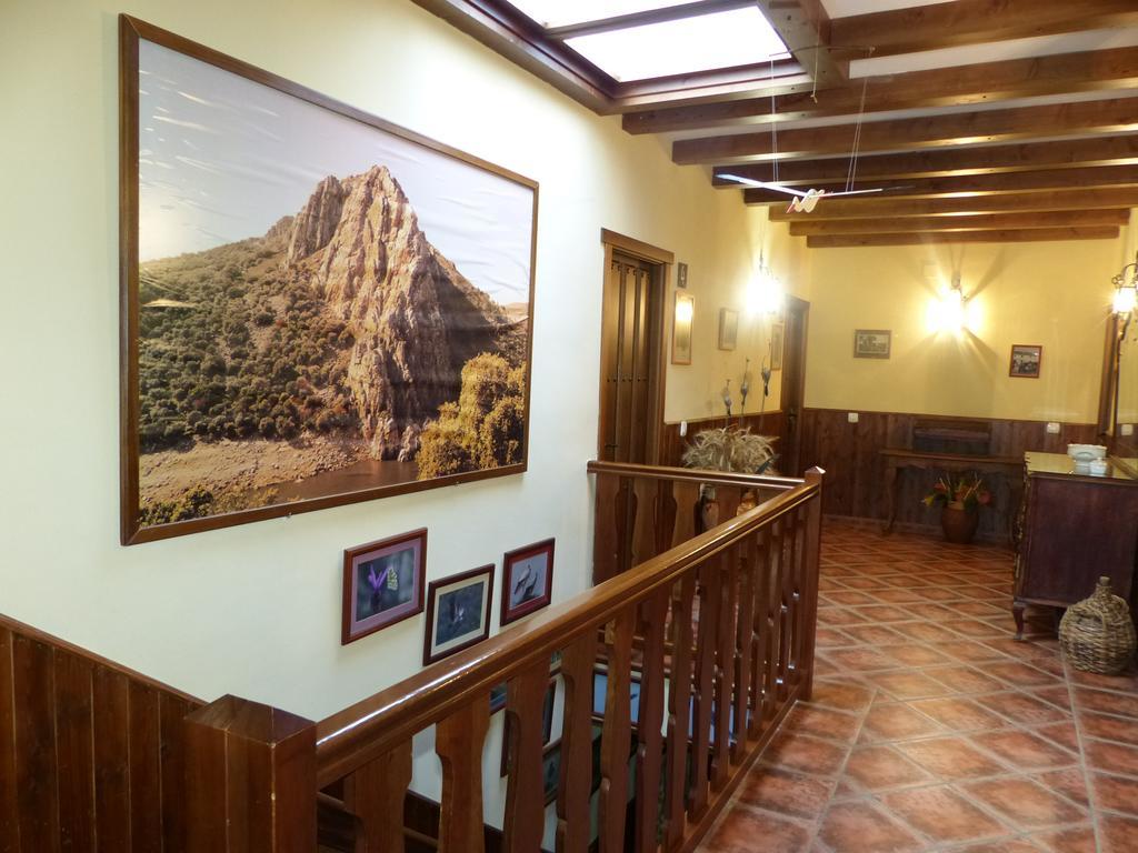 Casa Rural Pena Falcon 토레혼엘루비오 외부 사진