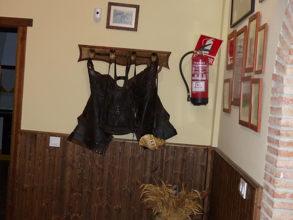 Casa Rural Pena Falcon 토레혼엘루비오 외부 사진